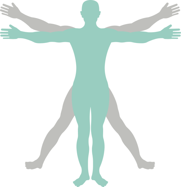 www.bodypeakperformance.es favicon